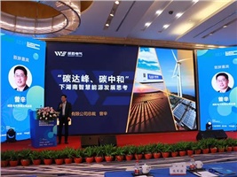 66体育直播平台荣获“十三五”新能源领军企业，献策“十四五”新能源产业发展