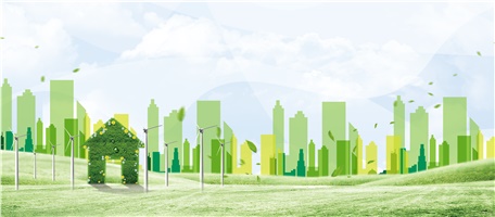 66体育直播平台之树，“植”得期待